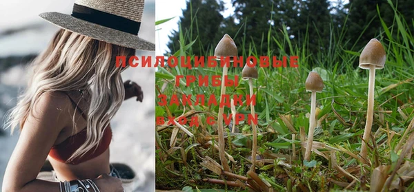 MDMA Premium VHQ Каменногорск