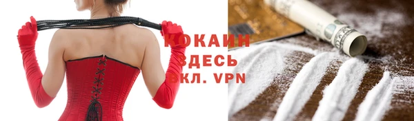 мдпв Касимов