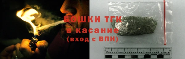 Альфа ПВП Каменка
