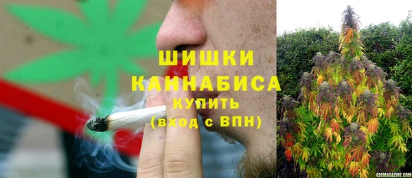 молекула духа Кинешма