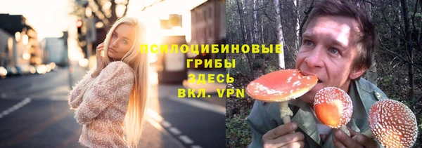 Альфа ПВП Каменка