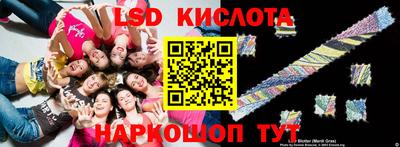 индика Рыбинск