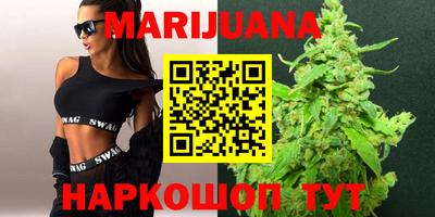 индика Рыбинск