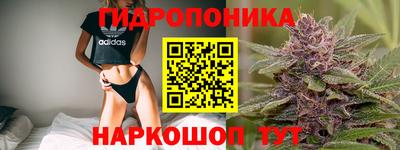 индика Рыбинск