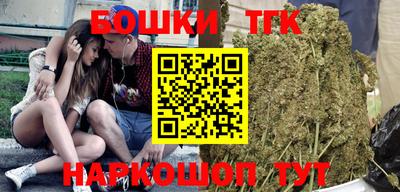 индика Рыбинск