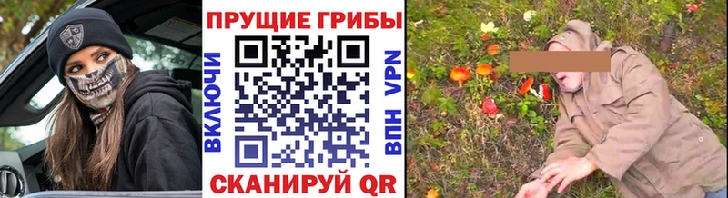 Галлюциногенные грибы GOLDEN TEACHER Кореновск