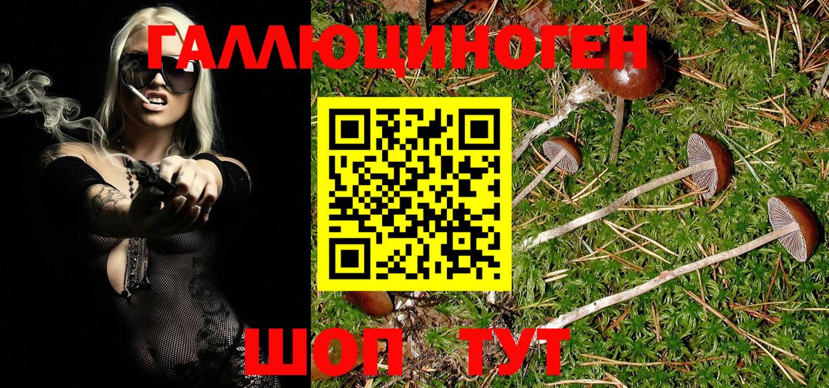 Псилоцибиновые грибы Psilocybe  где можно купить наркотик  Кореновск  Вход с VPN 