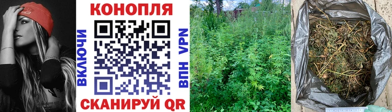 где купить наркотик  Кореновск  Бошки марихуана THC 21% 